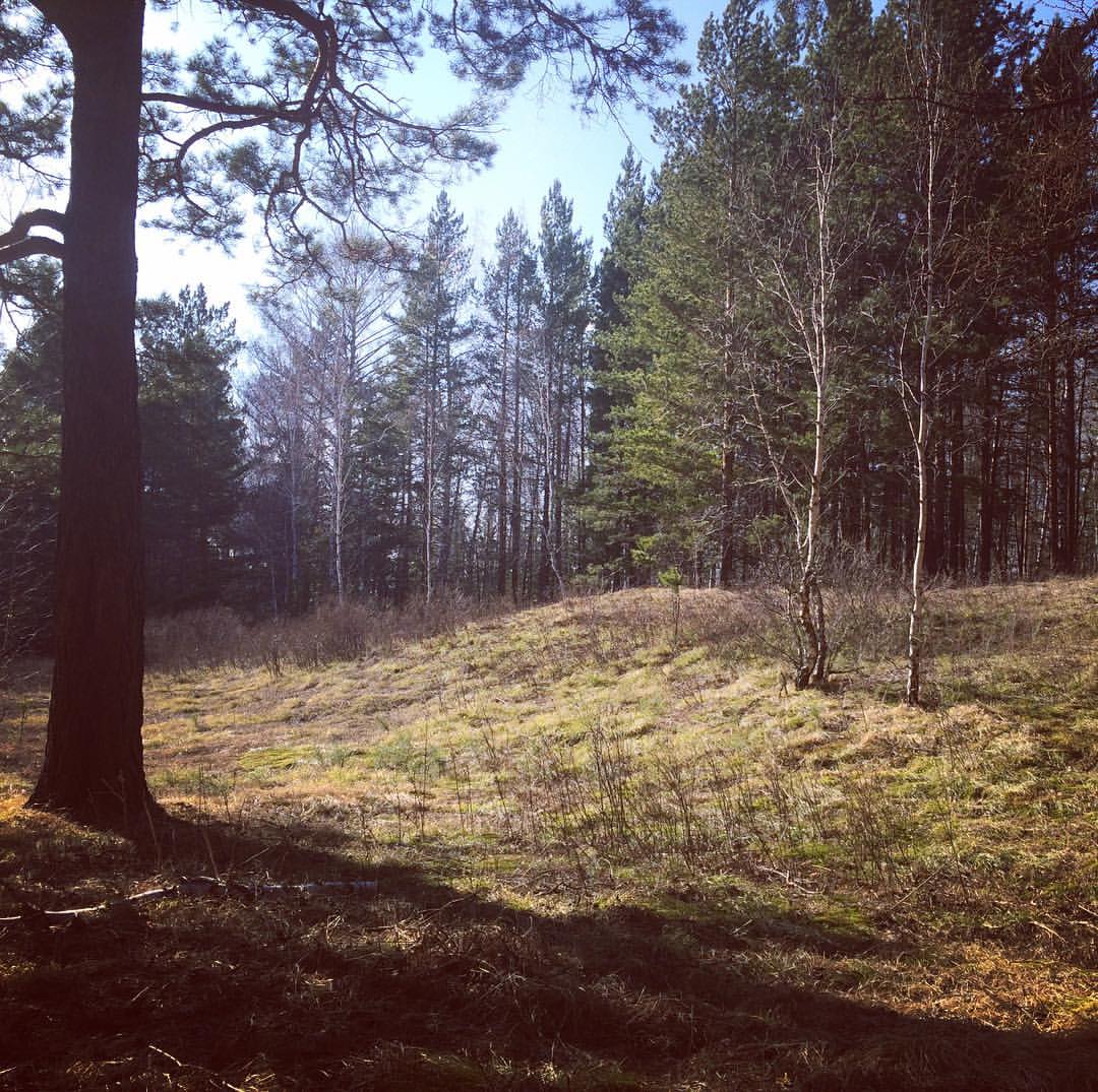 красноярск столбы столбы красноярск